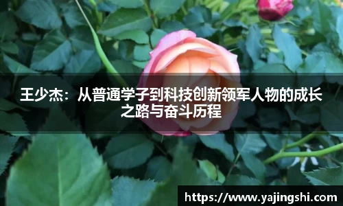 蓝狮在线
