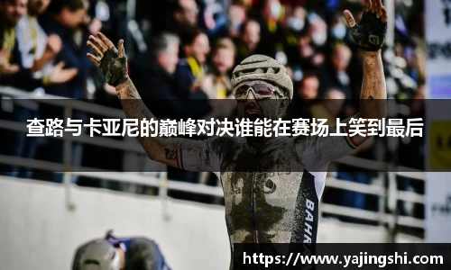 蓝狮在线